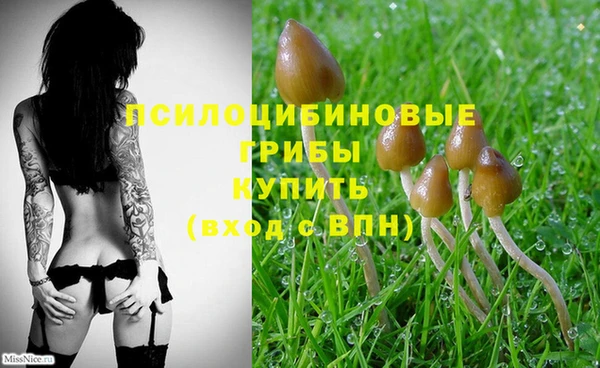 mix Арсеньев